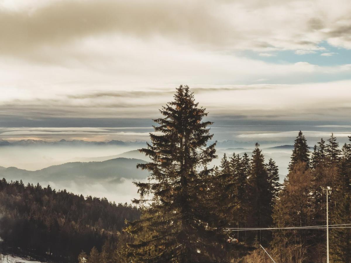 Boehmerwald Pur2 Klaffer am Hochficht Zewnętrze zdjęcie