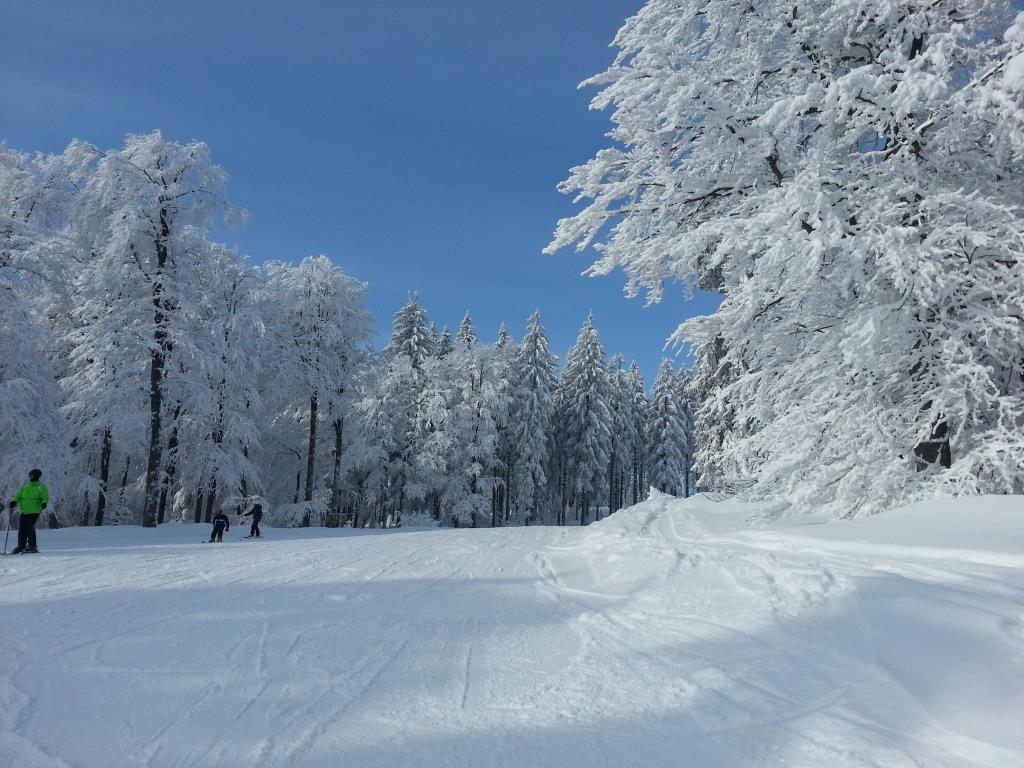 Boehmerwald Pur2 Klaffer am Hochficht Zewnętrze zdjęcie